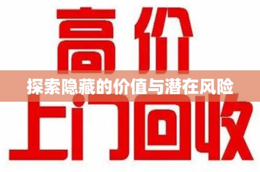 漳州探索隐藏的价值与潜在风险