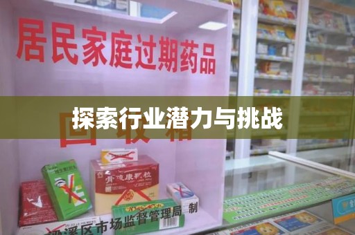漳州探索行业潜力与挑战