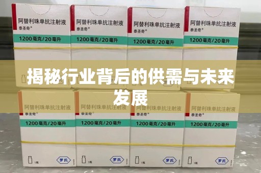 漳州揭秘行业背后的供需与未来发展
