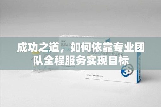 漳州成功之道，如何依靠专业团队全程服务实现目标