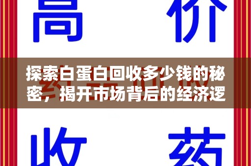 漳州探索白蛋白回收多少钱的秘密，揭开市场背后的经济逻辑