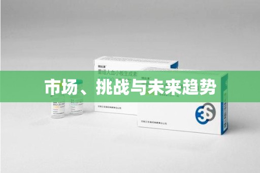 漳州市场、挑战与未来趋势