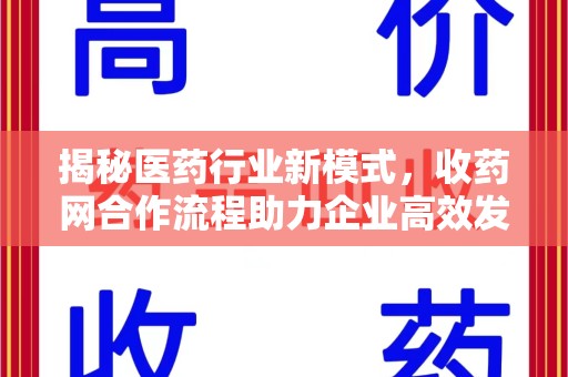 漳州揭秘医药行业新模式，收药网合作流程助力企业高效发展